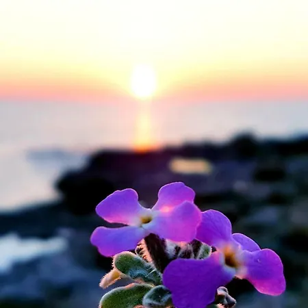 Gasthuis Lu Salentu Torre Suda